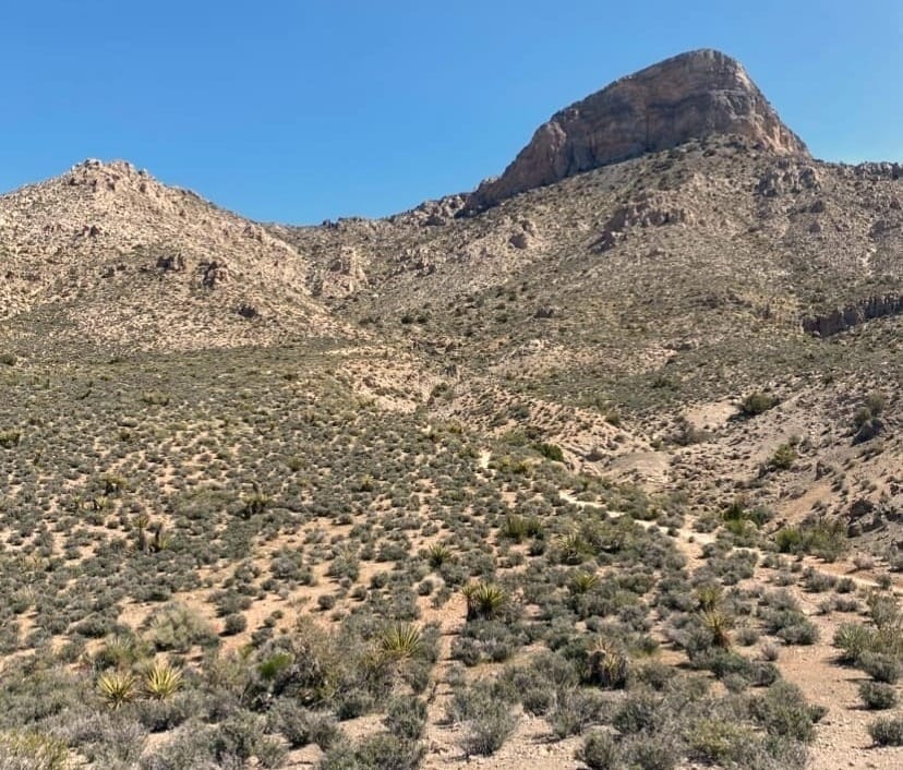 Through the Eyes of Cain